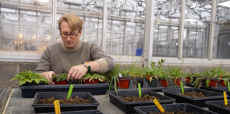 Scott Morris with plants in a greenhouse