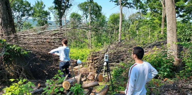 Slashwall Cranmer Han