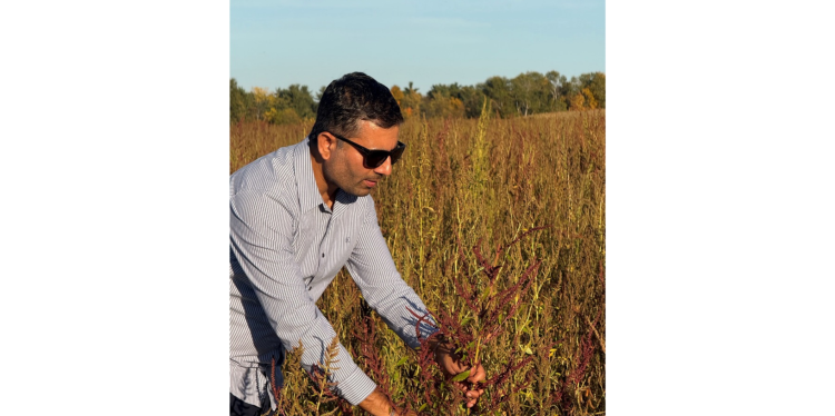Vipan Kumar in a water hemp field