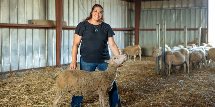 a woman holds a sheep in a show stance