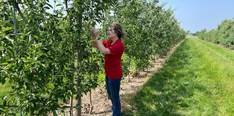 Riley Harding works in an orchard.