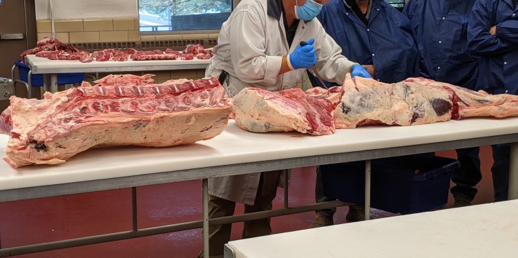 A person in protective clothing demonstrates meat cutting on large beef sections while others observe, all wearing masks and hairnets in a processing room.