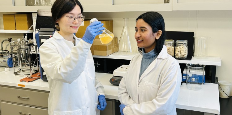 Assistant professor Ke Wang and postdoctoral associate Krishna Sahoo