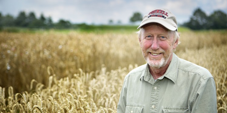 Mark Sorrells in front of small grains field