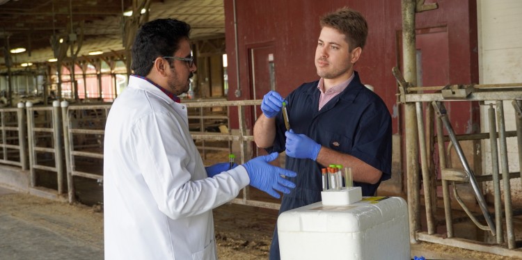 a man holds a vial of liquid and talks with another man in a white lab coat in a barn