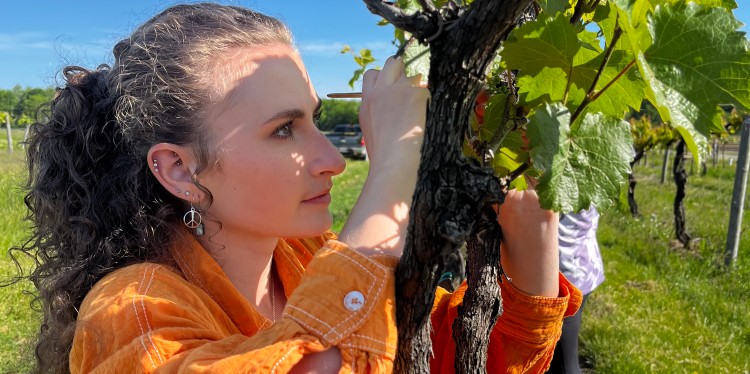 Mirelle working with grapes.