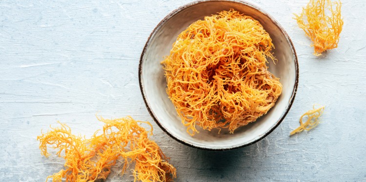 Edible sea moss