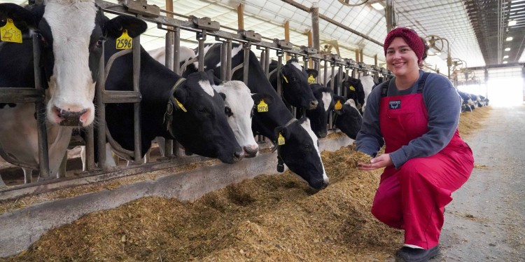 a woman crouches down in front of a row of cows and holds some feed in her hand