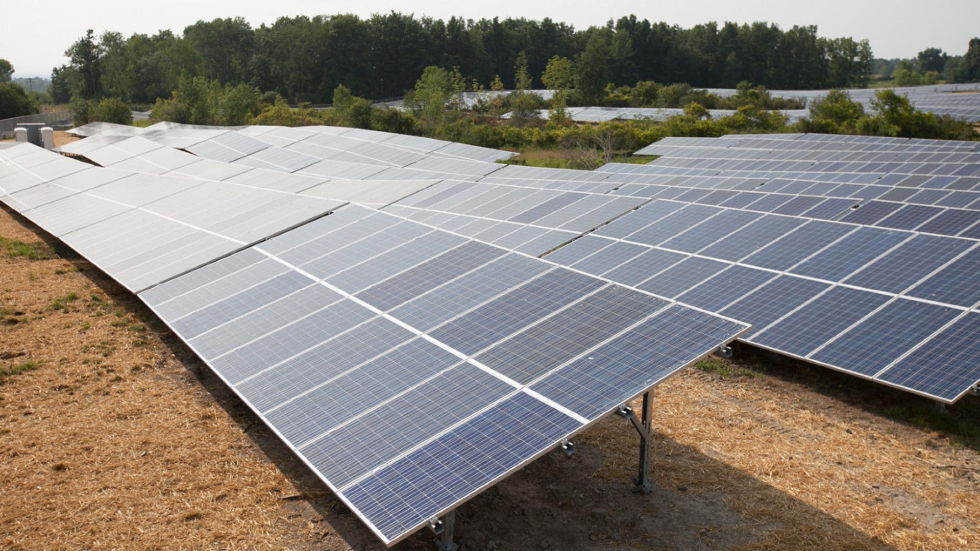 Two rows of black panels facing toward the sky