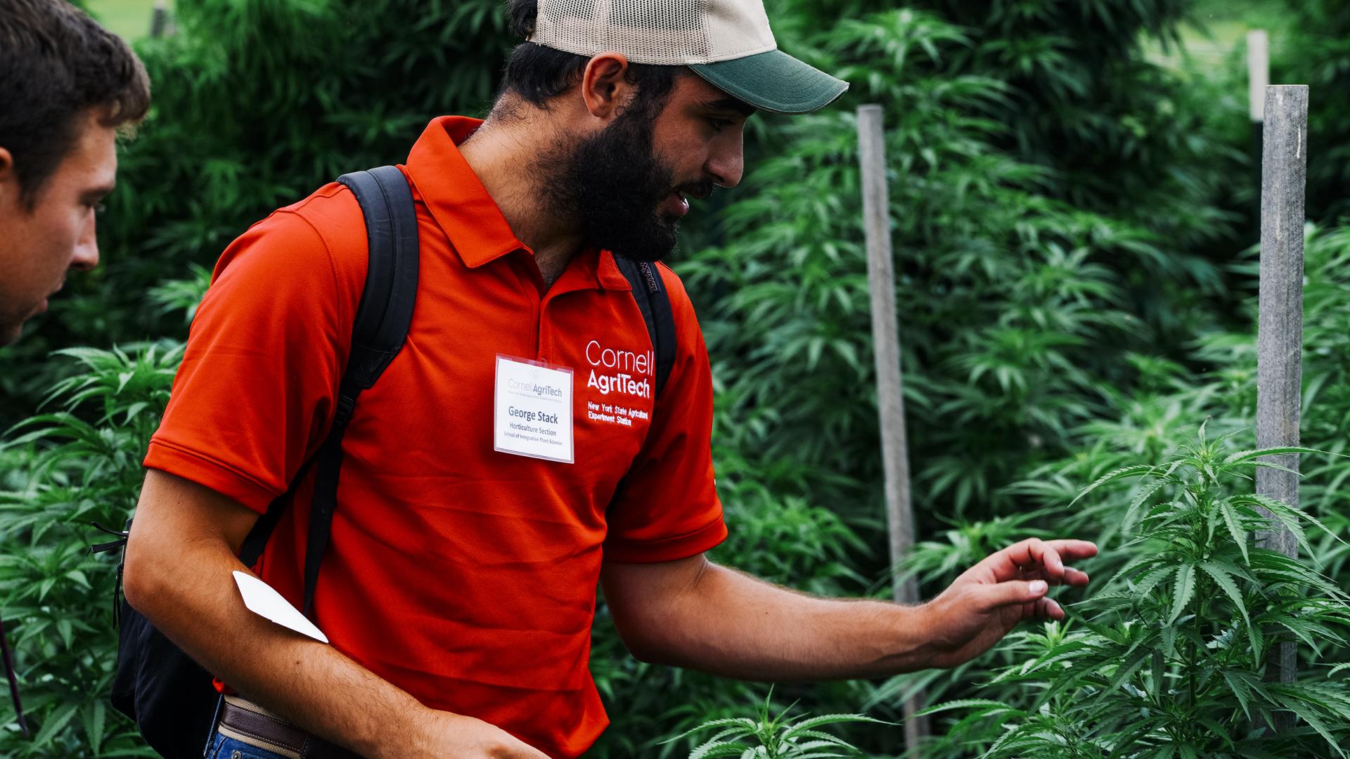 A man wearing a red shirt and baseball hat standing in front of and talking about a green leafy plant
