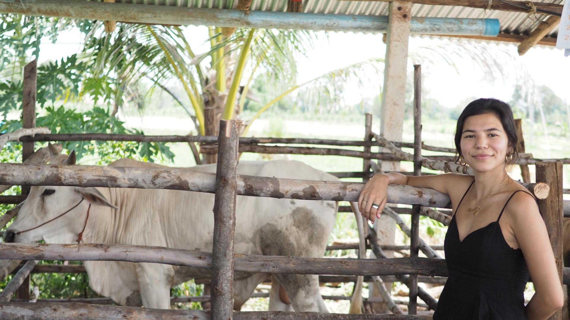 A female student standing in front of a large penned farm animal 