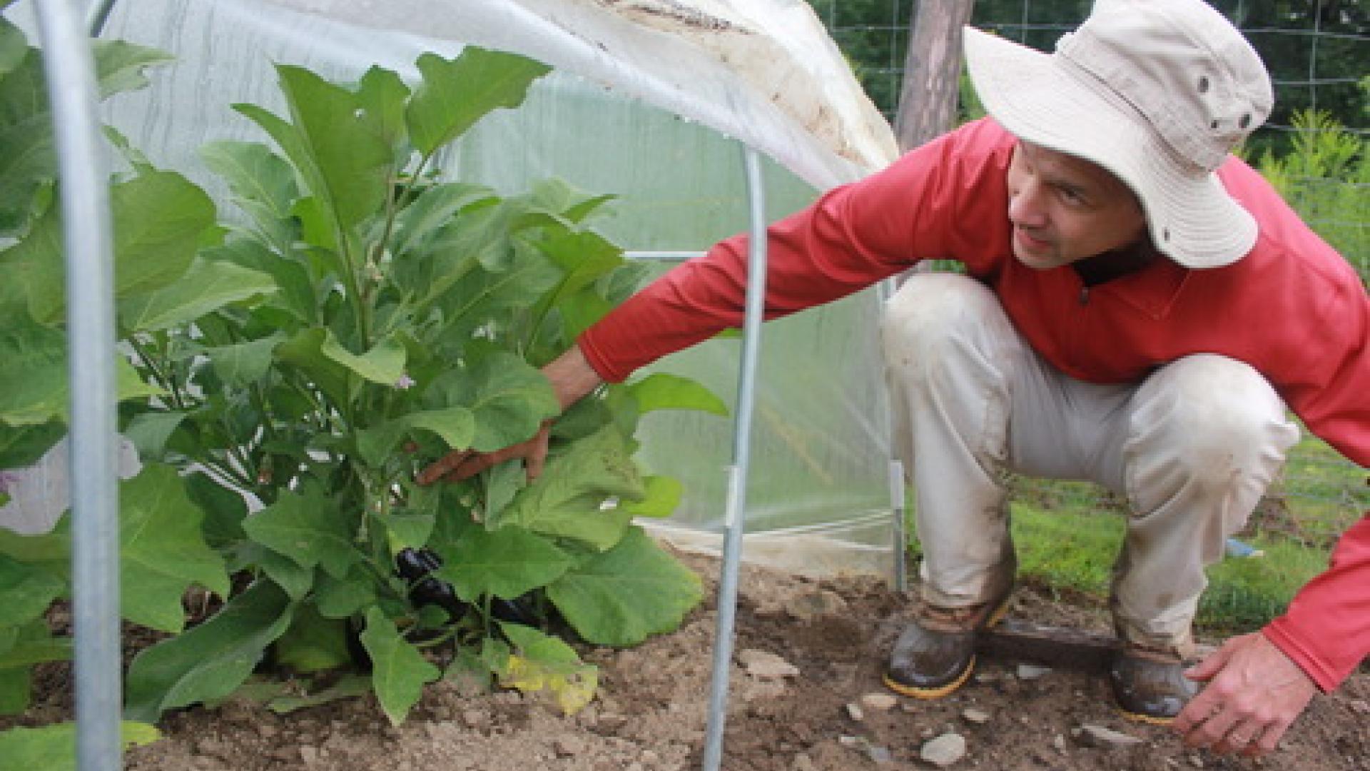 A man gardening