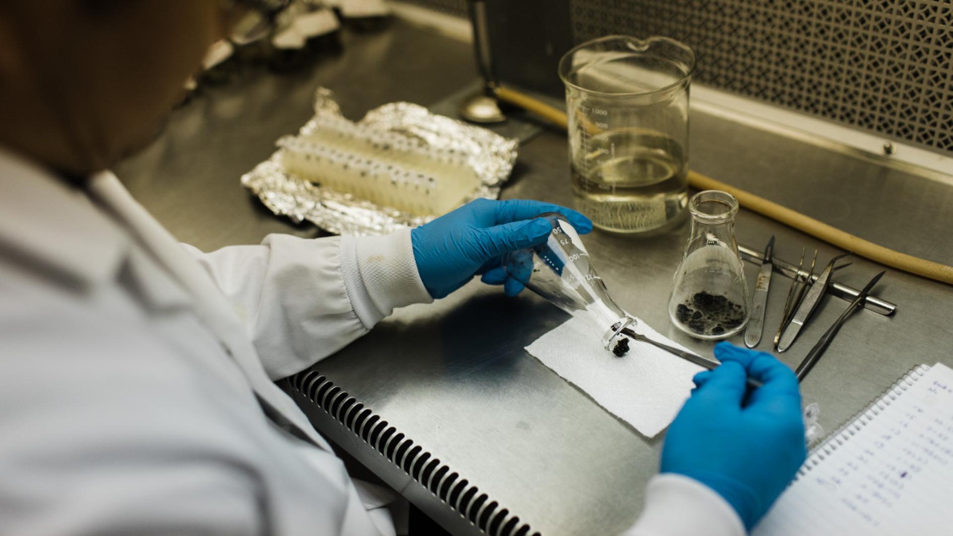 A man sitting at a lab bench doing research