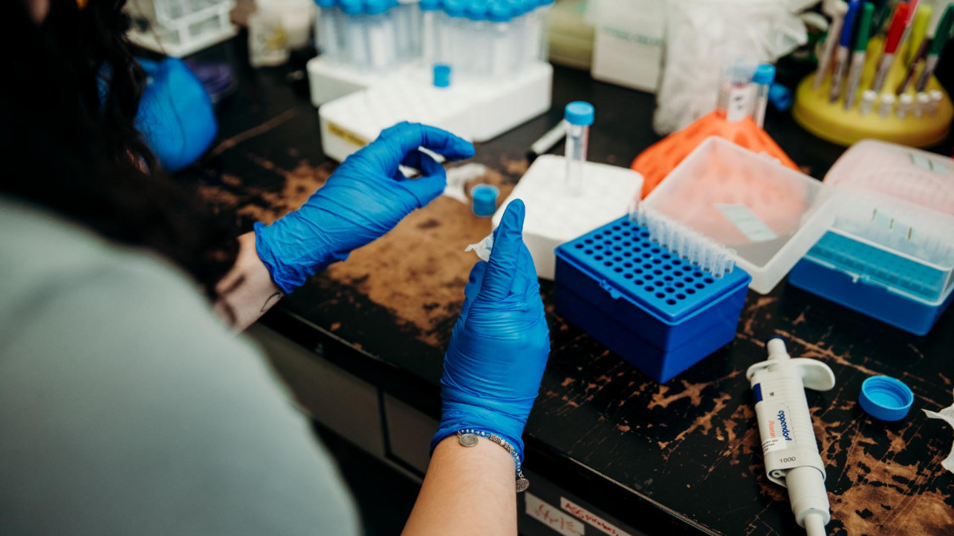 A person sitting at a lab bench conducting research
