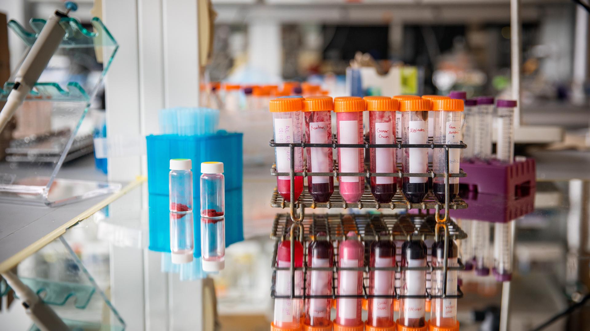 a row of plastic test tubes holding dark red liquid sit on a reflective counter