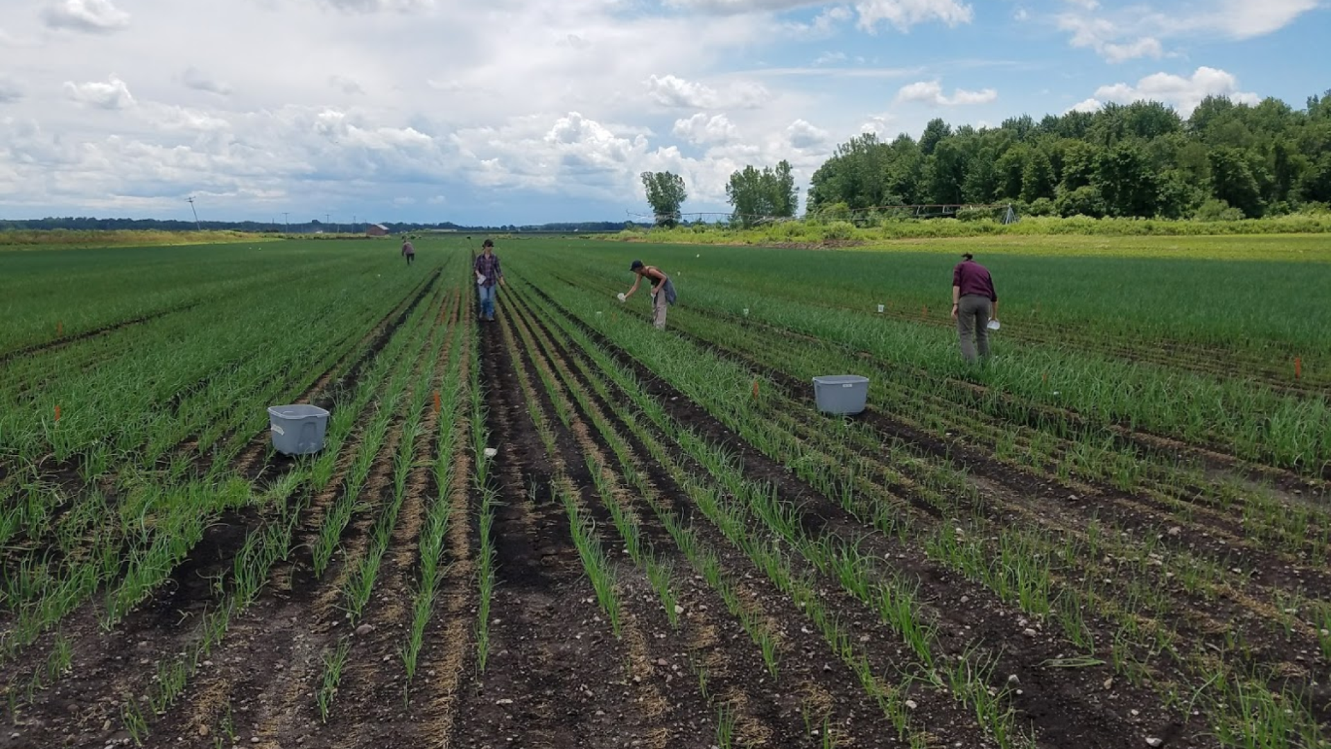 People working outside on a farm
