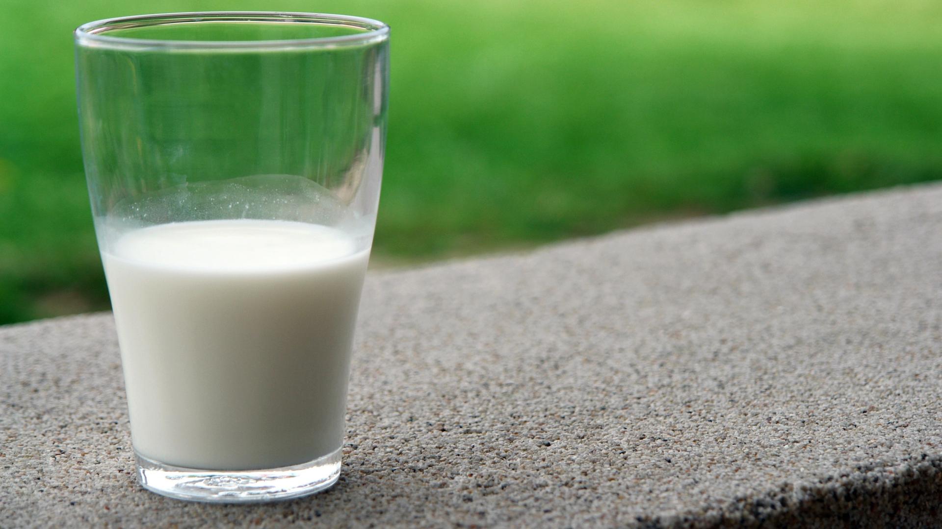 A glass of milk