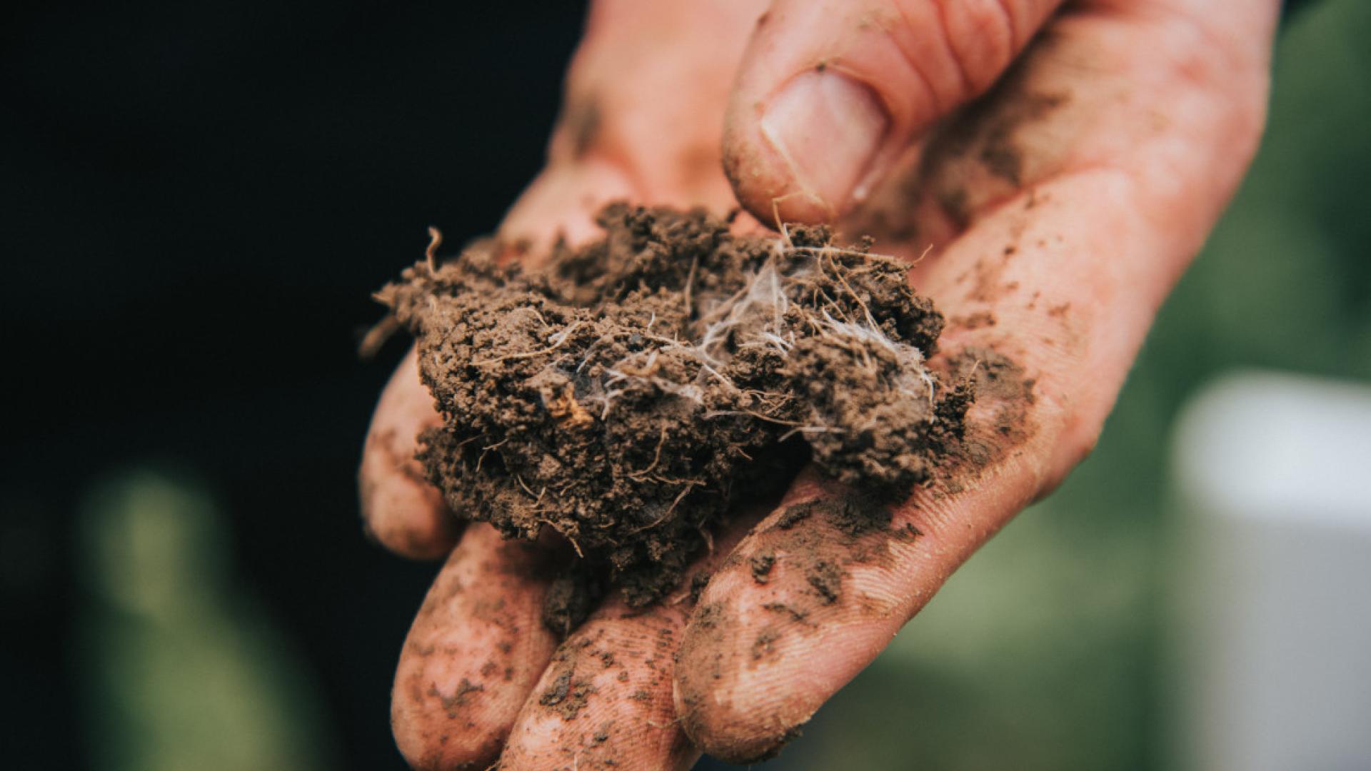 A hand holding brown soil