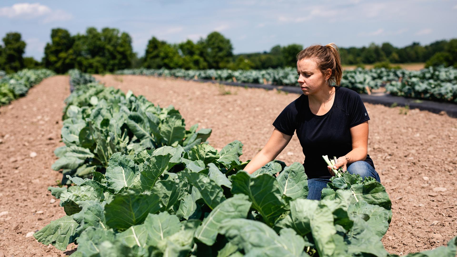 A woman working in a field