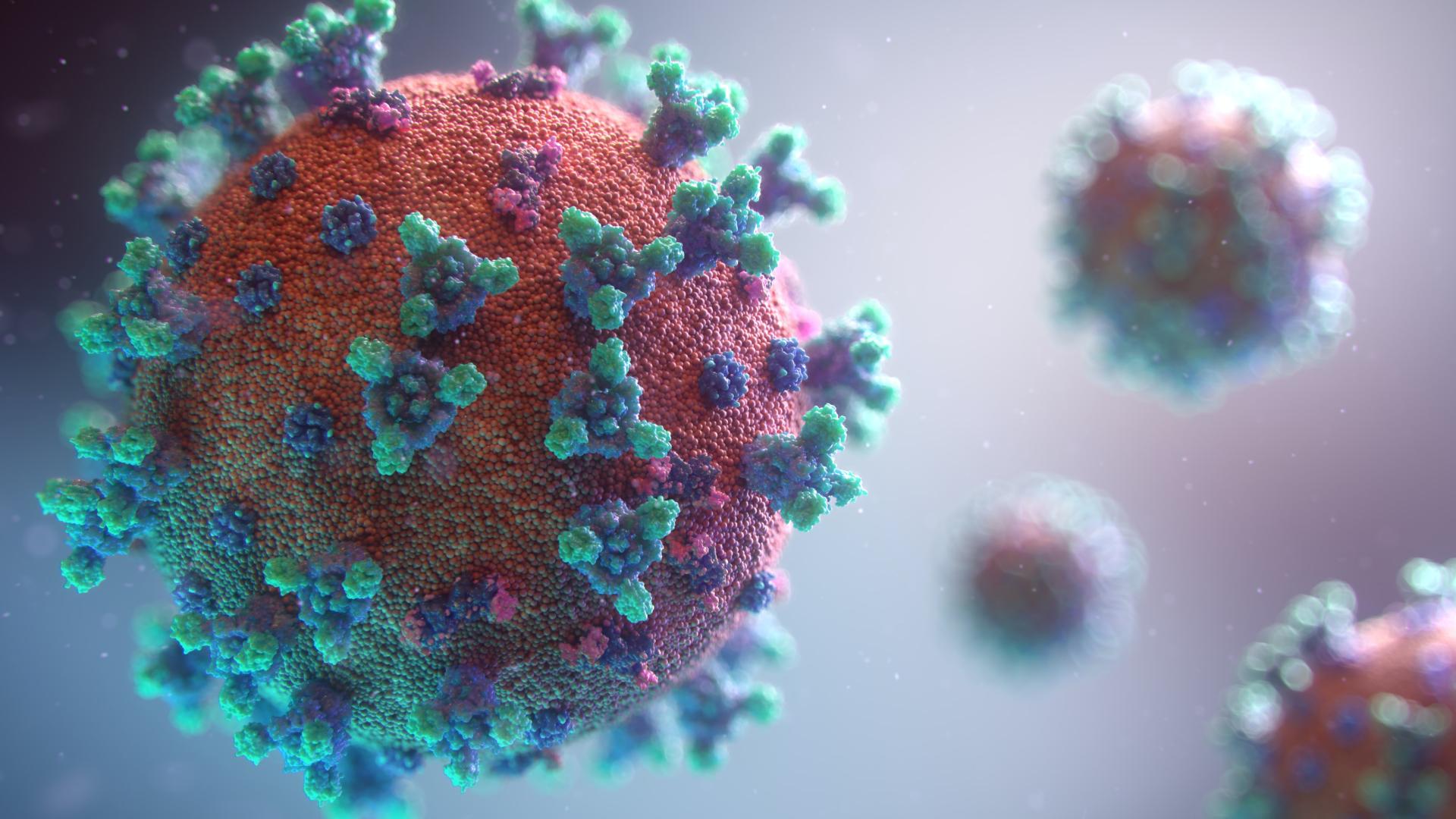 an artist's illustration of the coronavirus