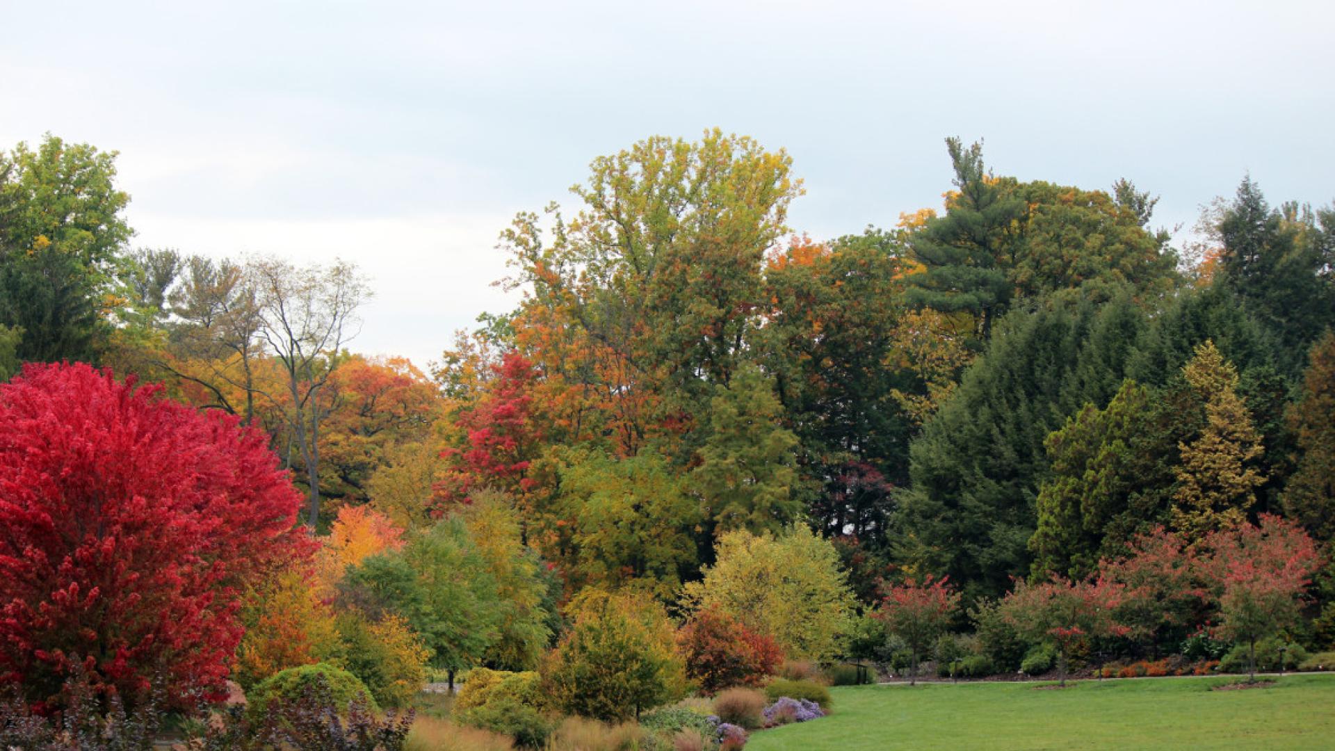 Bioswale at Cornell Botanic Gardens