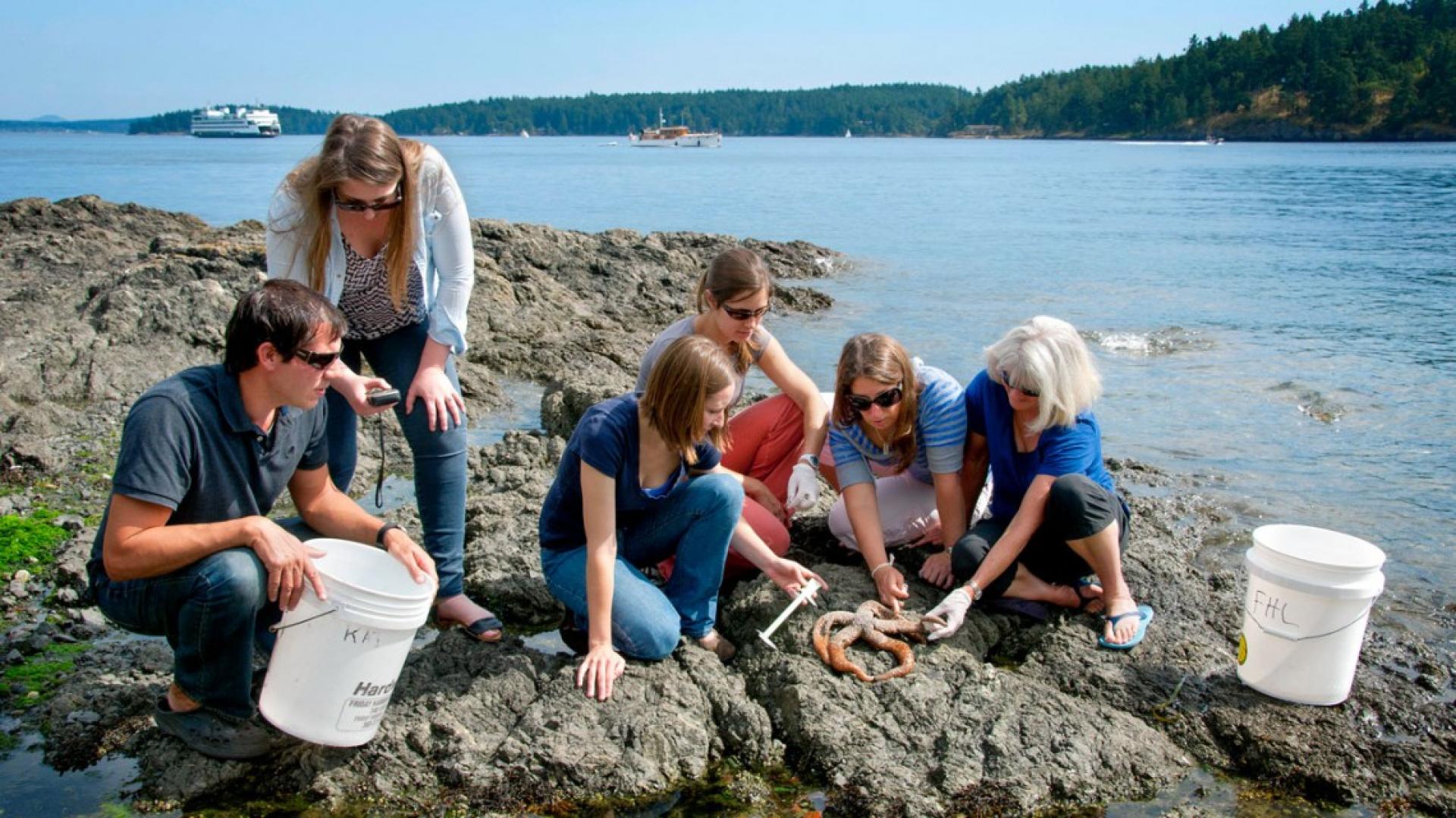 Five students and one teacher sitting on a rock next to the ocean and looking at a starfish