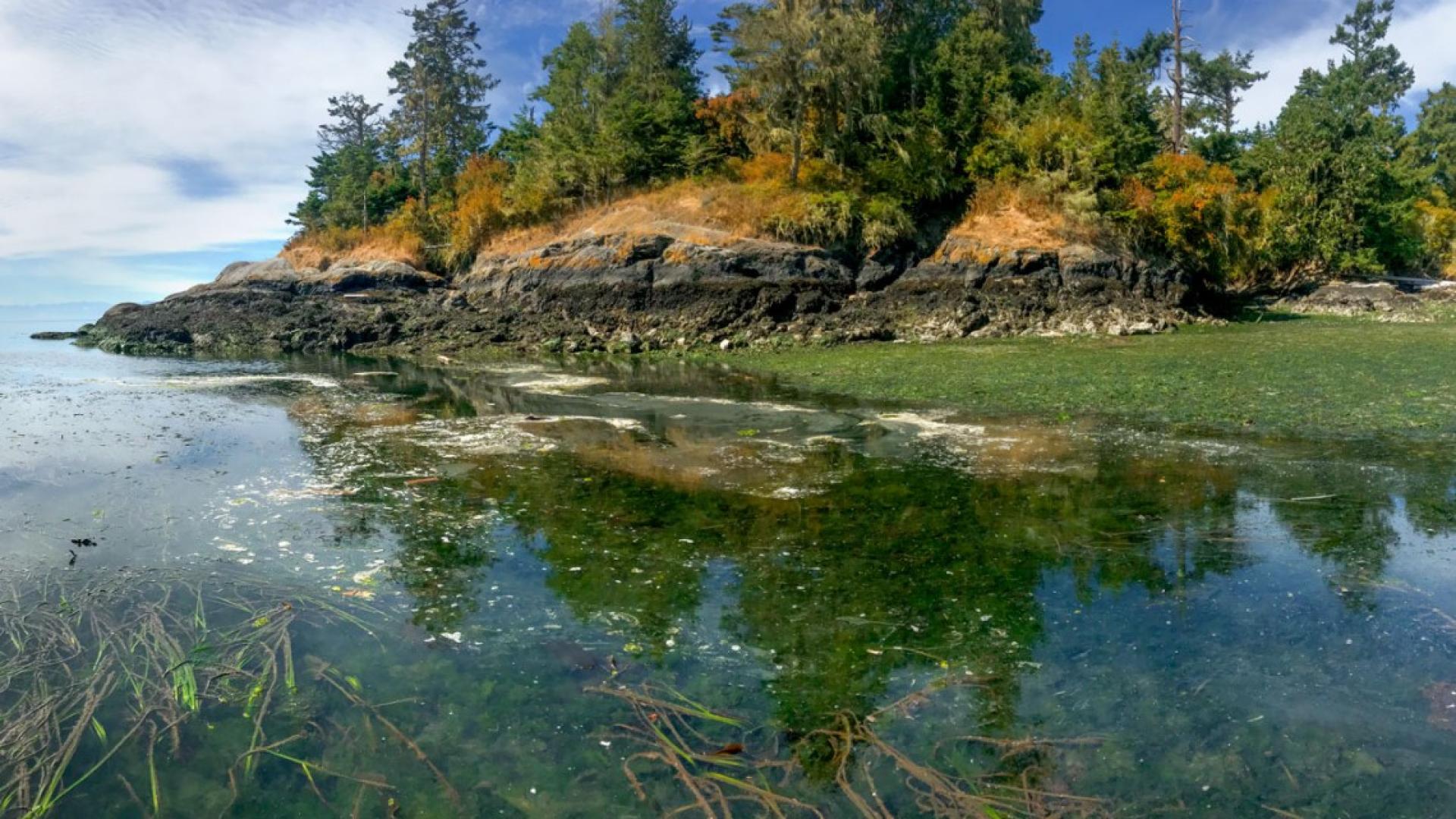 An inlet of water with an island behind it