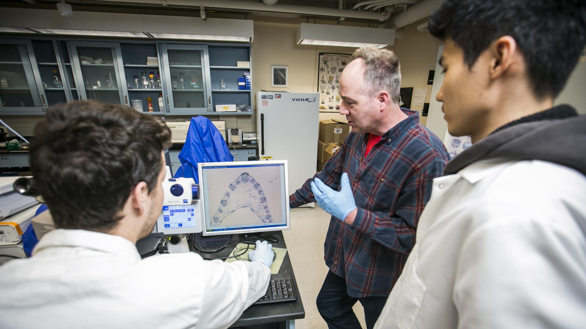 three male researchers look at maize genes on a computer screen