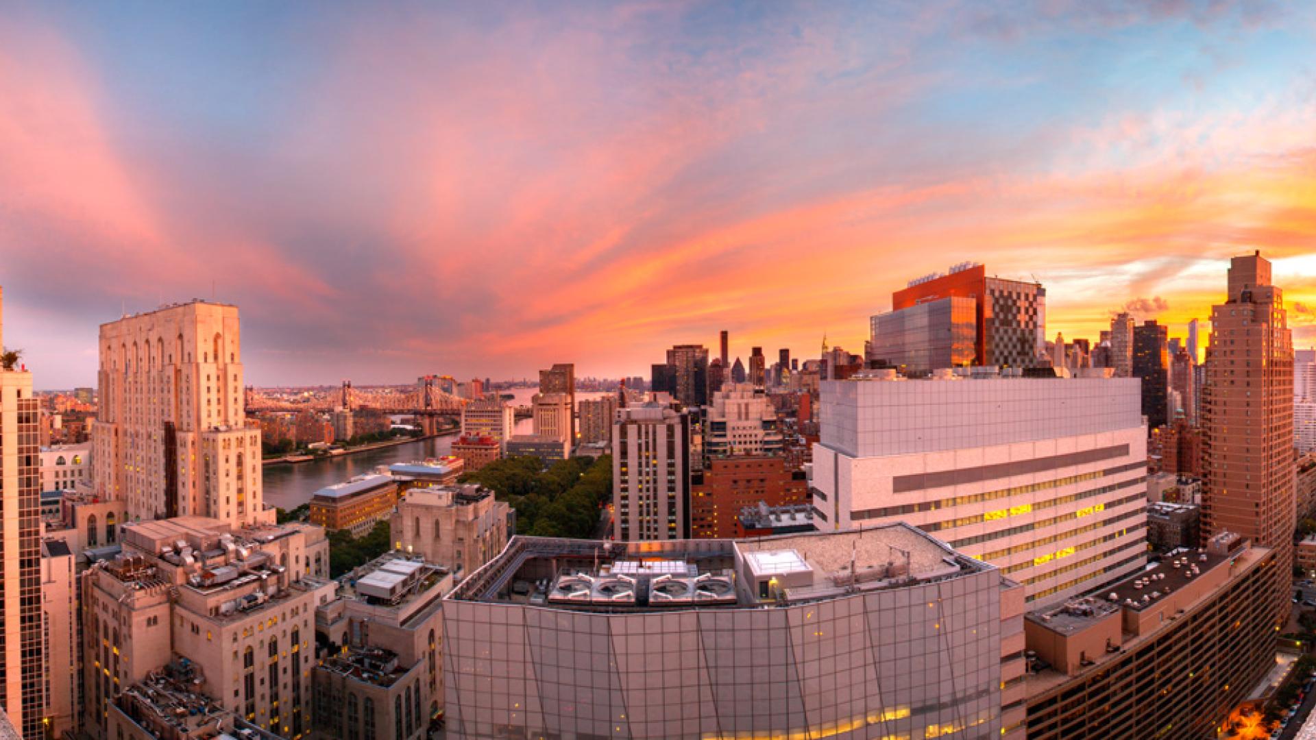 Weill Cornell Medical College