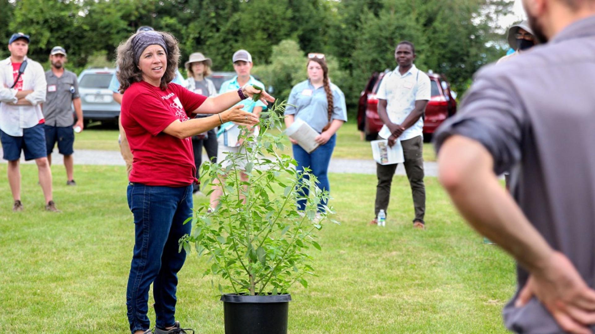 Lynn Sosnoskie standing in front of a group of people outside next to a weed and talking about it.