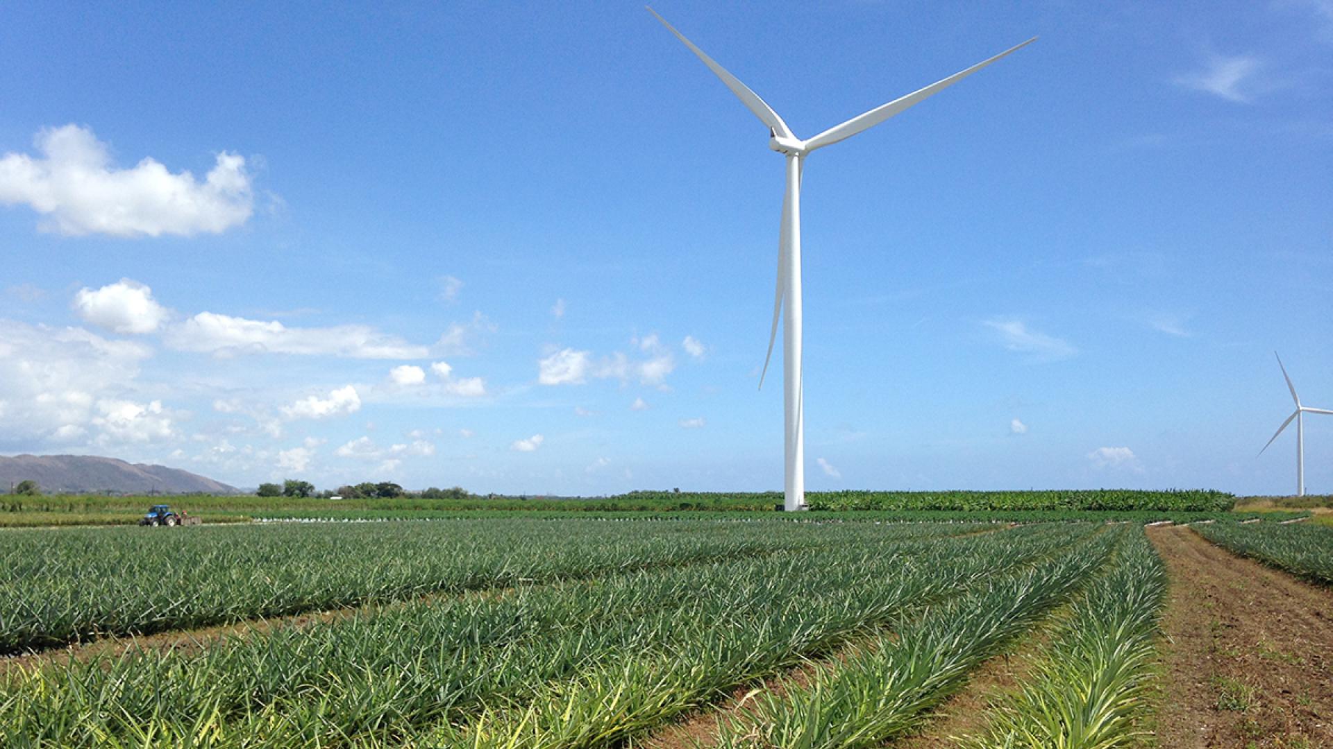 A farm field with a wind turbine in the background