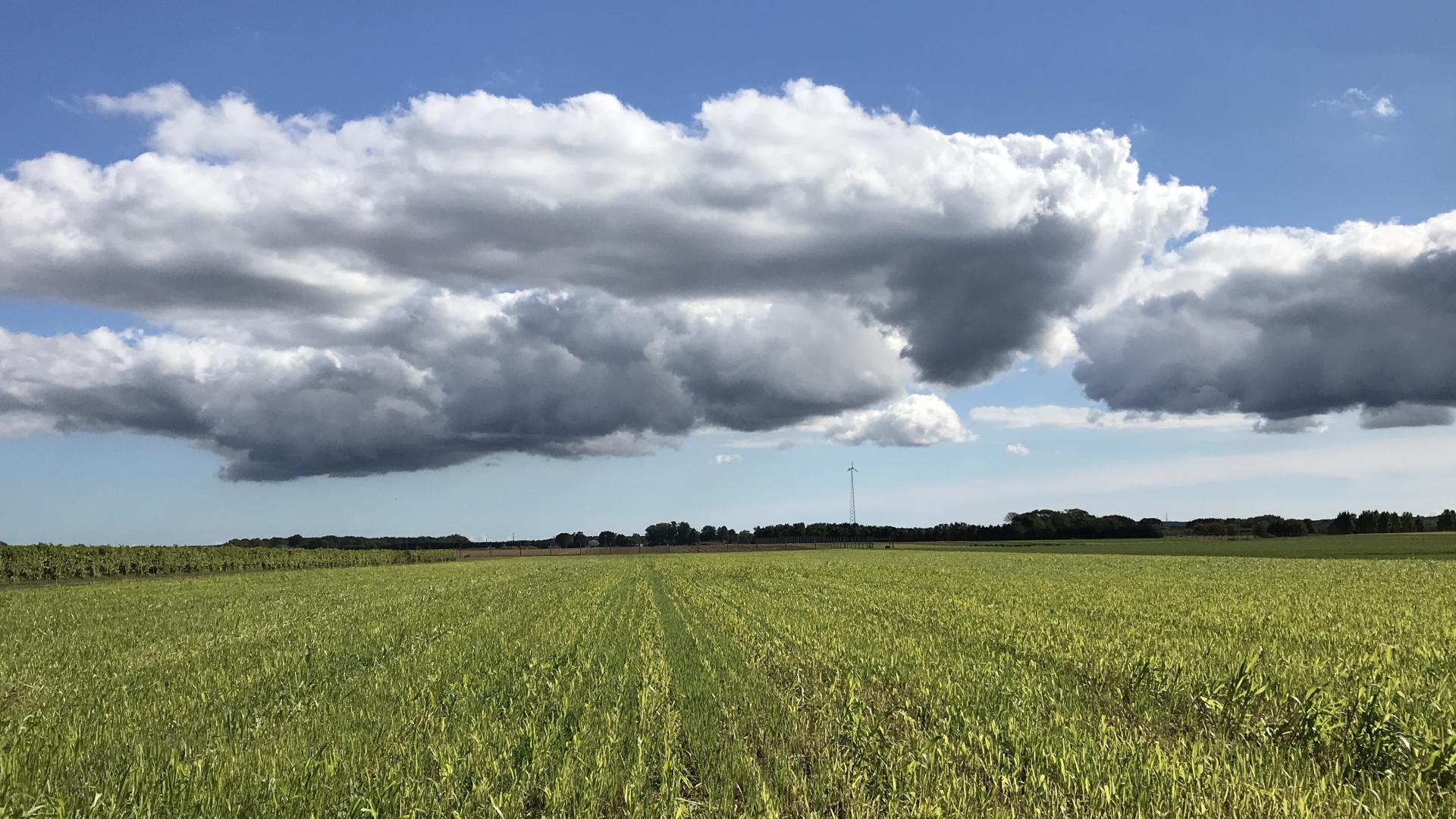 field with cloud