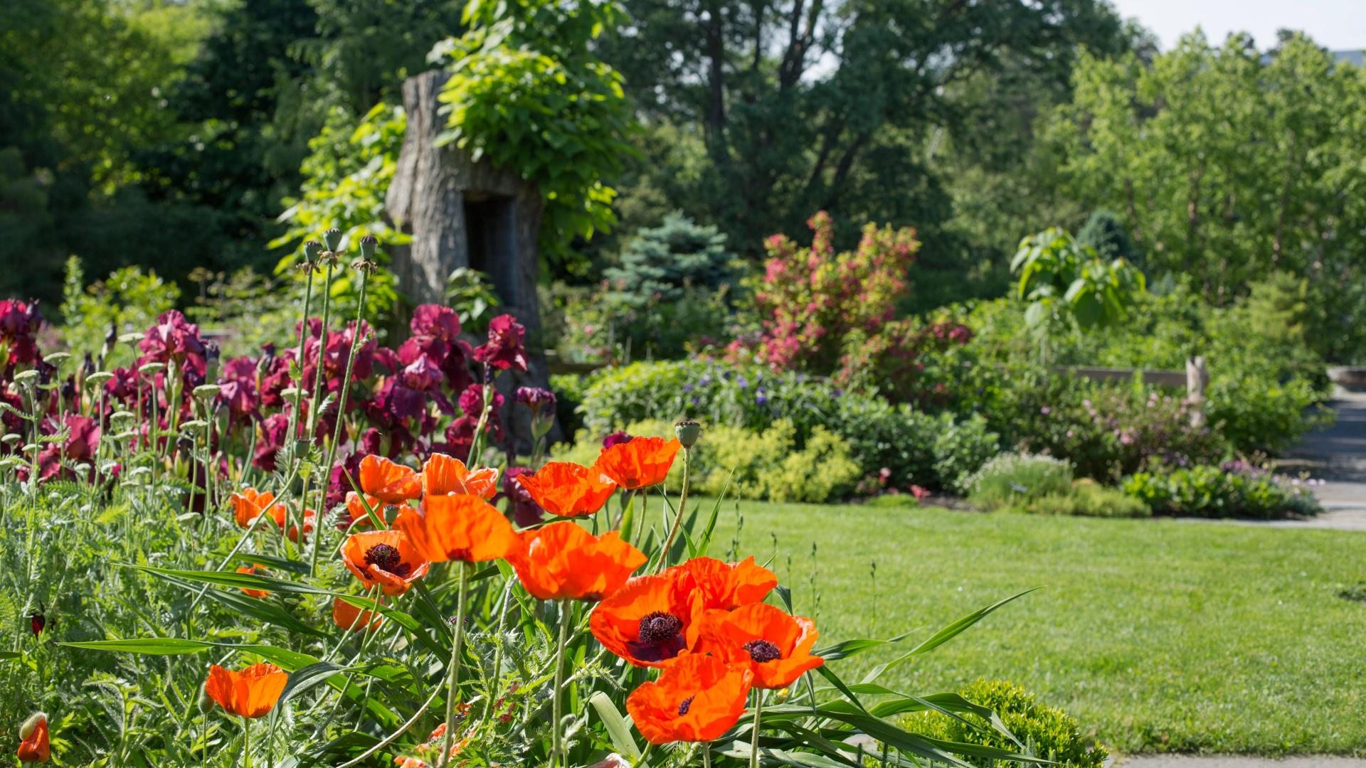 Seeds of survival: Botanic Gardens honors the Black experience | CALS