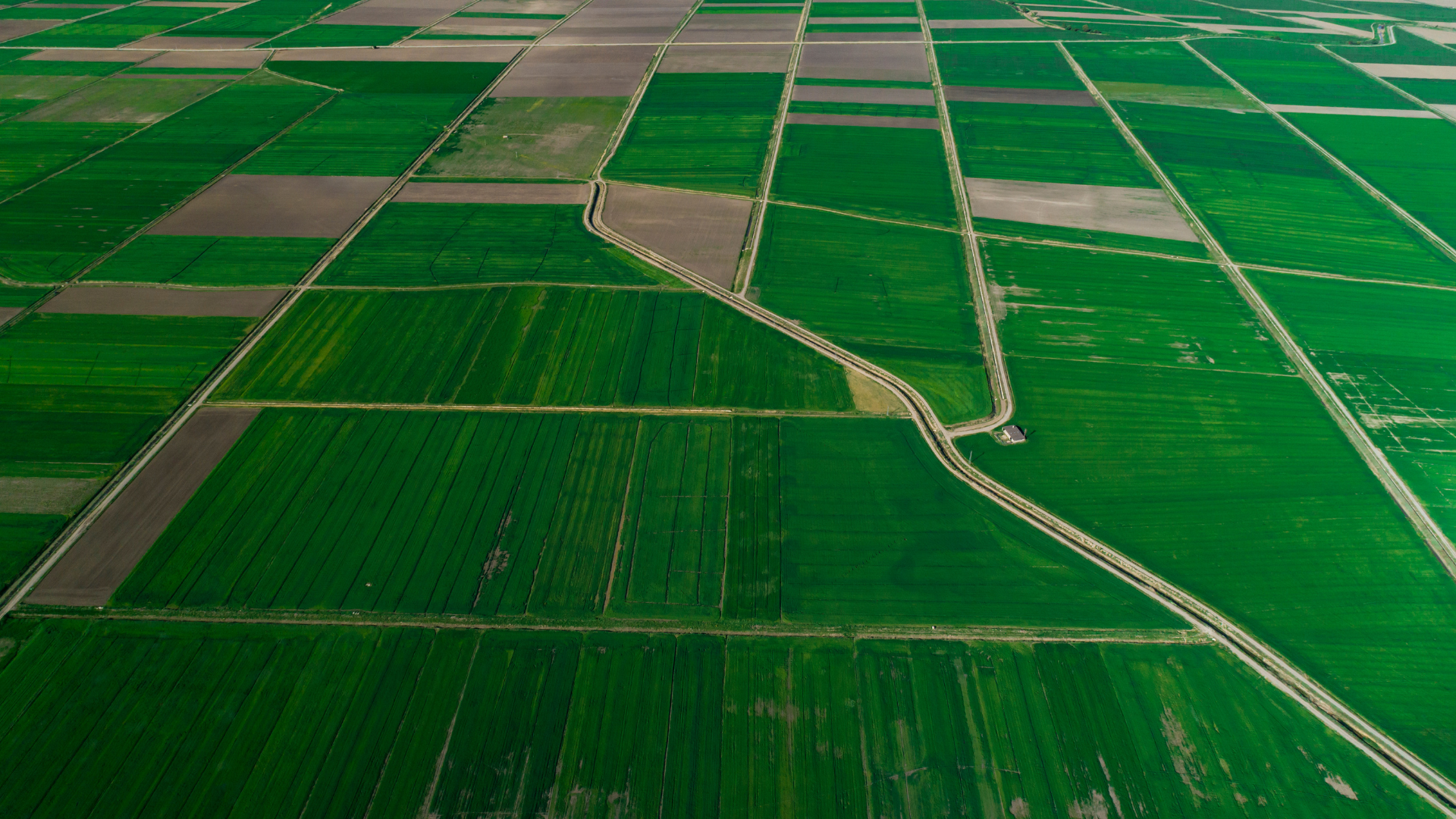 agricultural fields