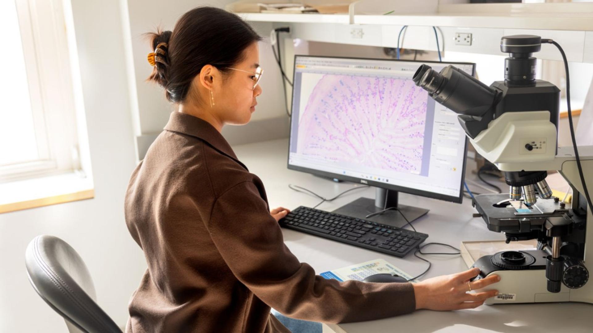 Scientist sits at her desk examining a cross section of an embryonic chicken’s small intestine.