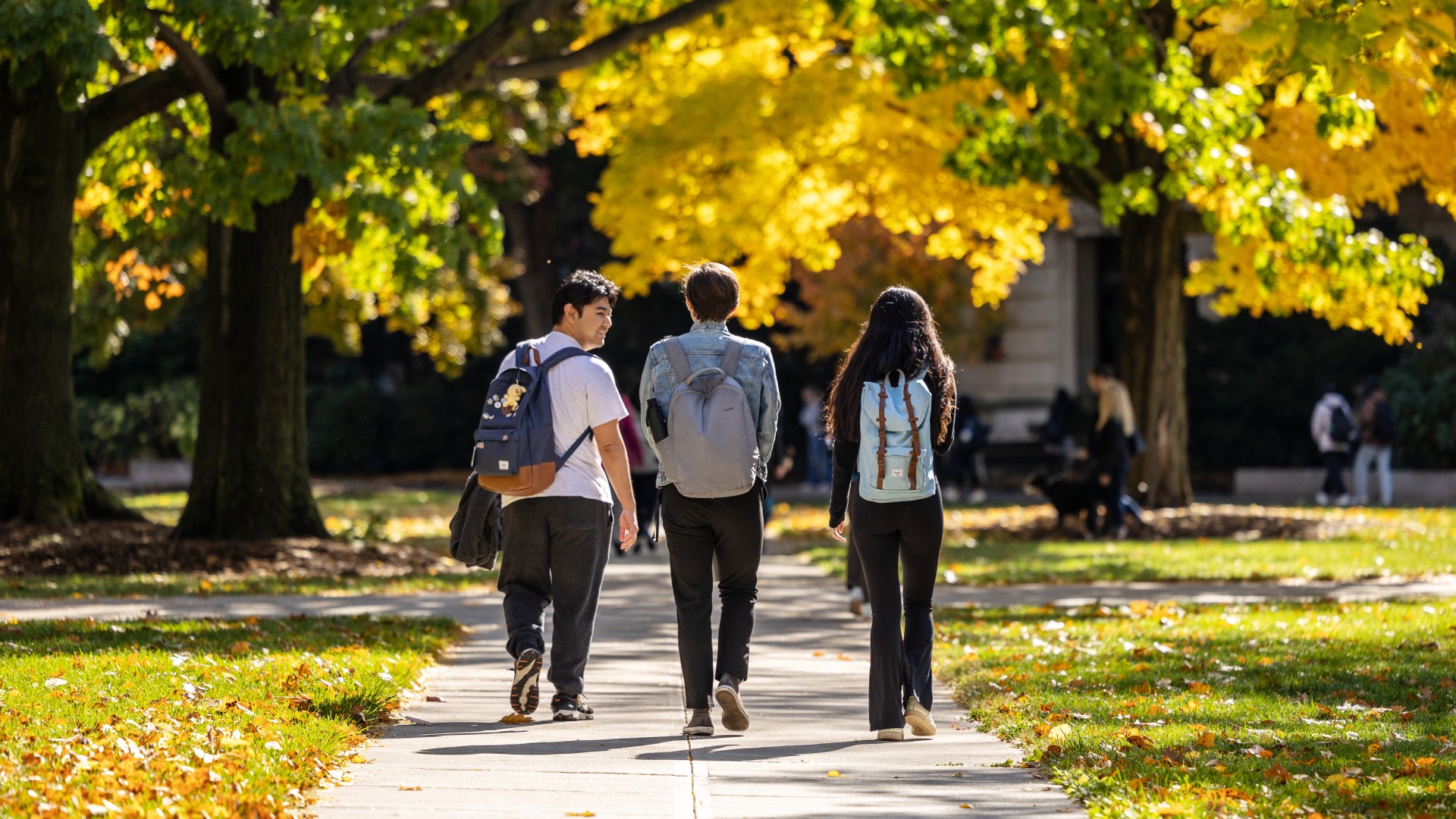 Students walk on the Ag Quad