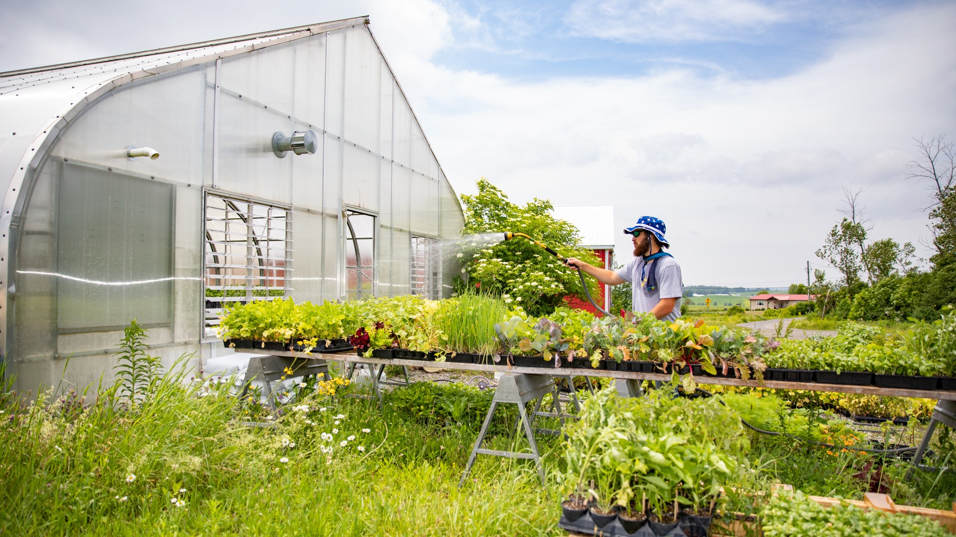 Farmer watering plants in a greenhouse