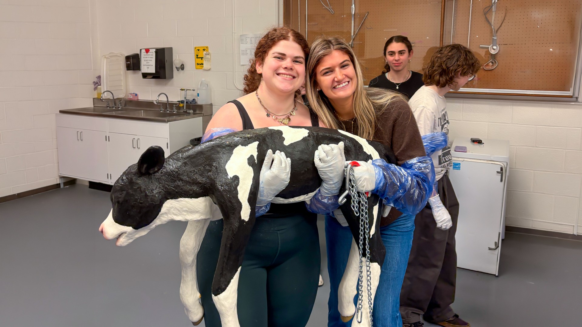 two women hold a manequin of a newborn calf