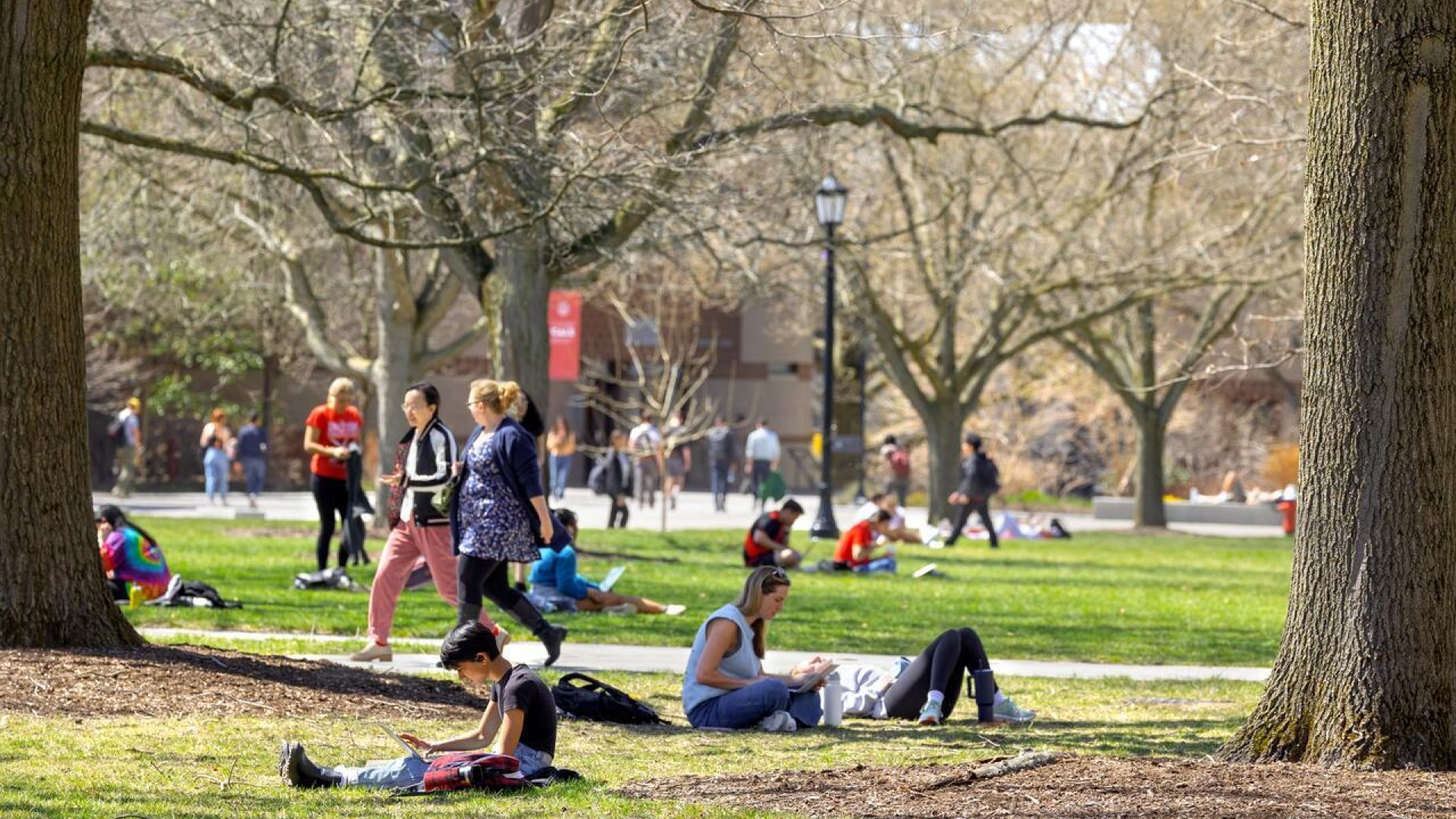 Ag Quad in the spring