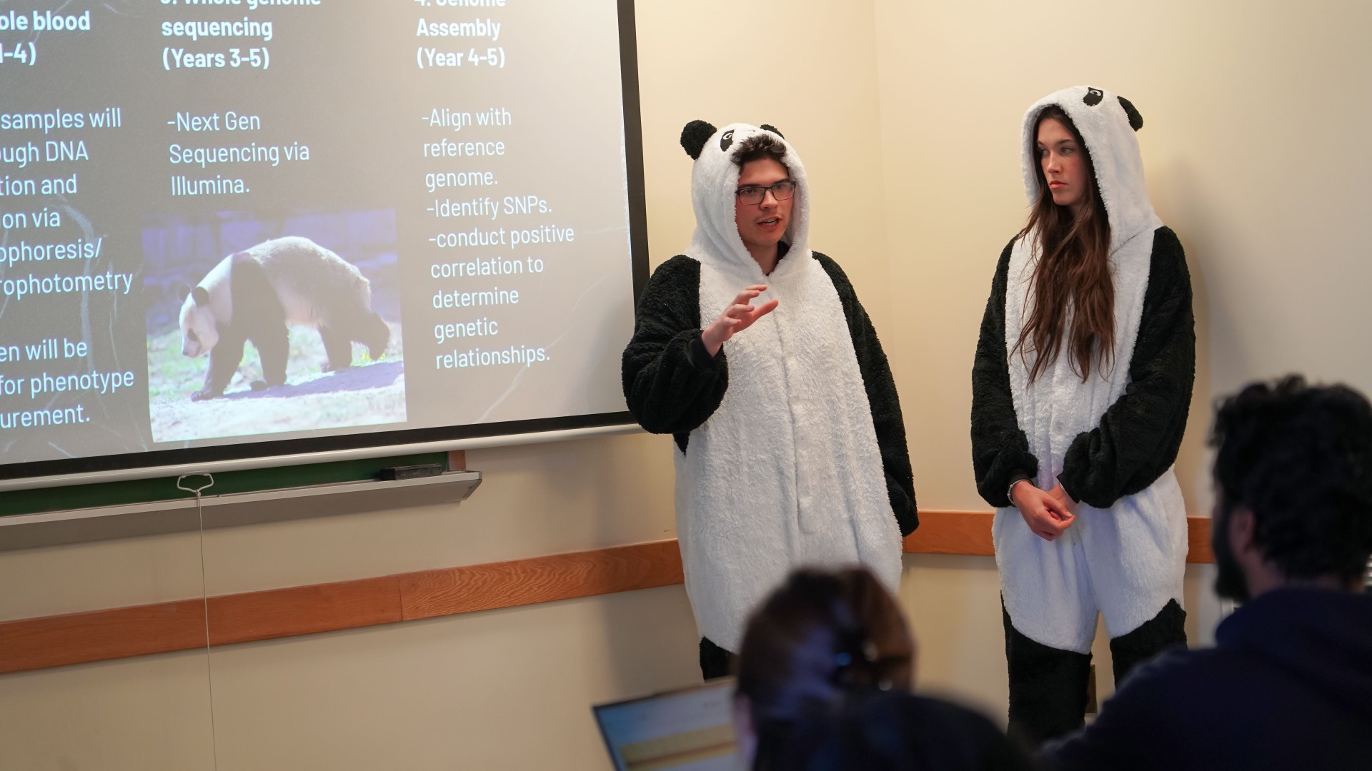 a man and a woman dressed in panda onsies stand by slide projection on the genetics of pandas