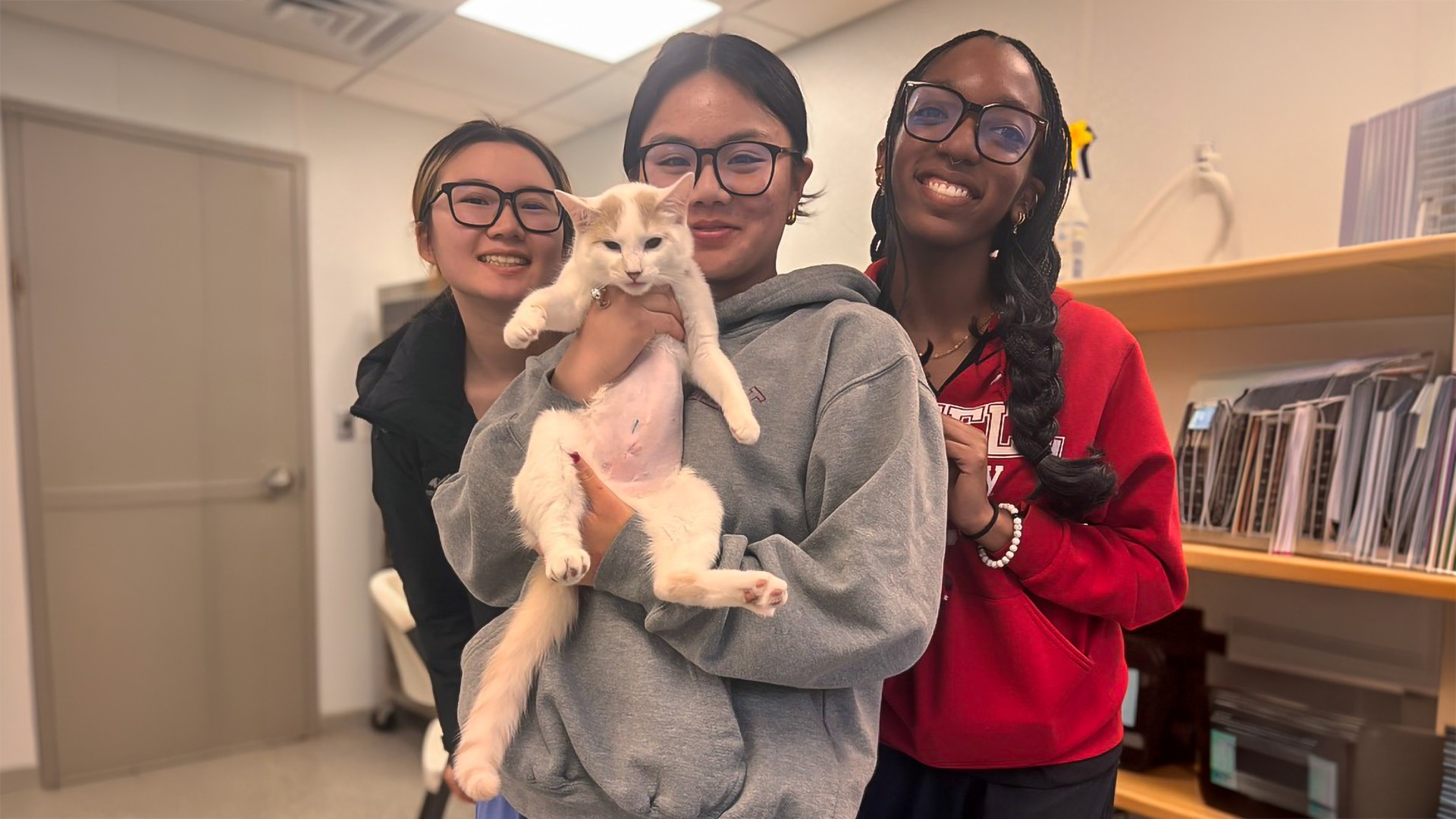 three women stand together while one of them holds a cat with a shaved belly