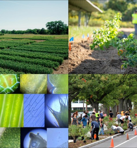 sips grand challenge graphics