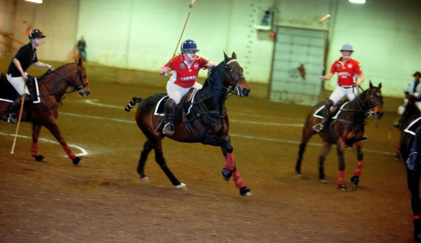 riders on horses compete at polo