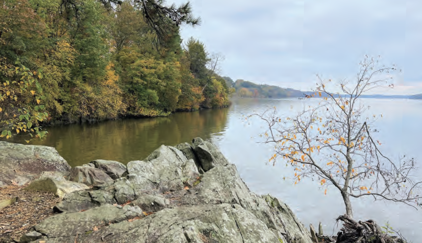 Photograph of a tree lined and rock lined river shoreline during fall.