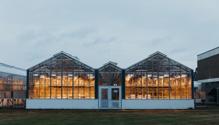 AgriTech greenhouse image.