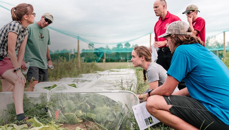 Six people kneel by rows of plants inside a greenhouse