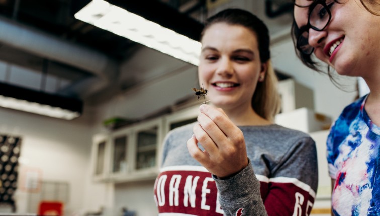 A student holds a preserved bee in her hand while another looks at it with her