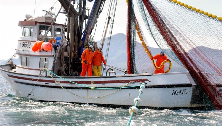 A boat on the water with people working on it