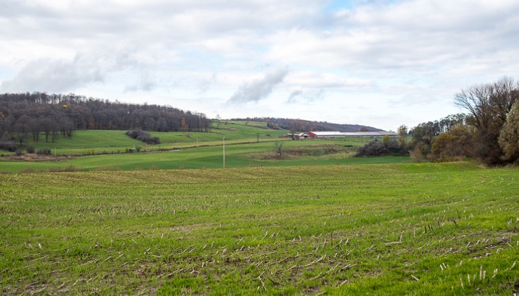 Dairy farm in upstate NY