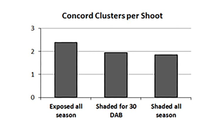 Concord Cluster per Shoot graph